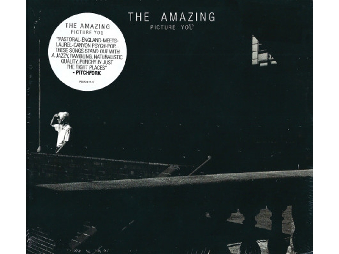 CD The Amazing  - Picture You