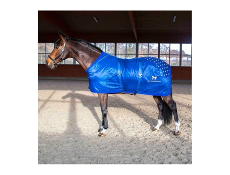 Tapete de acupressão para as costas ACCUHORSEMAT Original