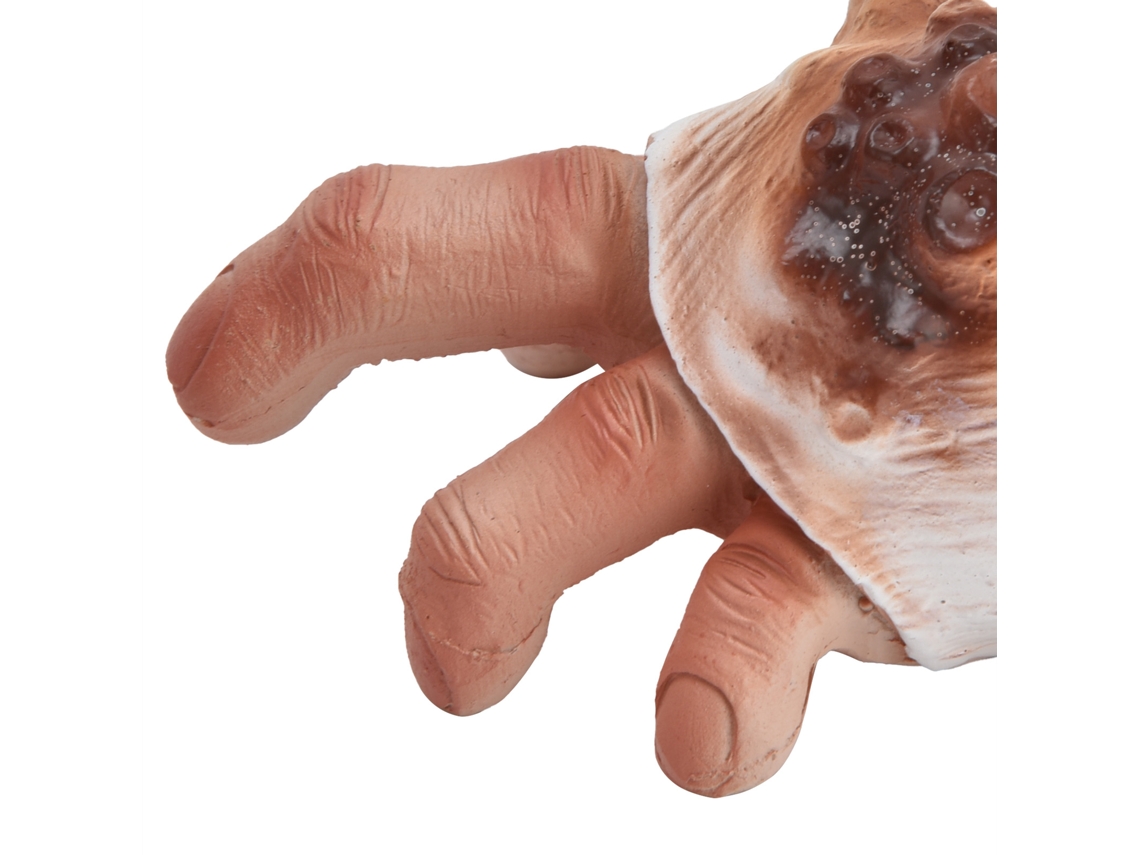 Shell Finger Resin Ornament (funny Creative Decoration) Eoocoo