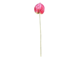 Antúrio Artificial Fasst fácil cuidado, sem descoloração, decoração de sala Qinhai