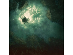 CD Braids - Companion (1CDs)