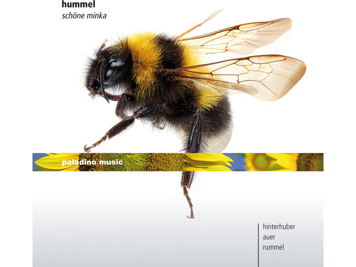 CD Hinterhuber/Auer/Rummel - Schöne Minka (1CD)