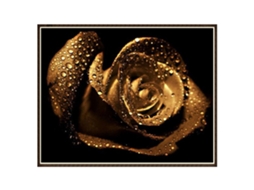 Diy Pintura de Diamantes S/MARCA