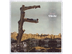 CD Feist - Metals