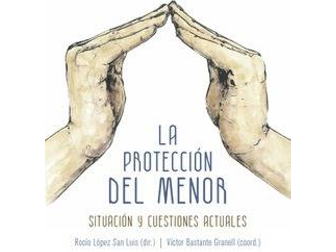 Livro La Protección Del Menor. Situación Y Cuestiones Actuales de Victor Bastante e Rocio Lopez (Espanhol)