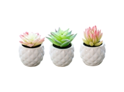 3 Peças de Planta Suculenta Simulada em Vaso Decoração Criativa Bonsai de Cerâmica em Forma de Abacaxi NEVEANCE