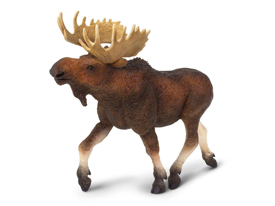 SAFARI Moose