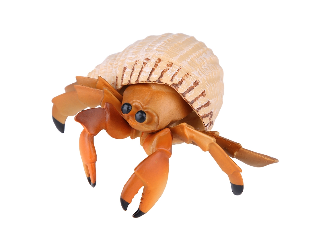 Walshlxq 1 Peça Modelo de Simulação de Caranguejo Ermitão Brinquedo Animal Realista Presente Educativo para Crianças