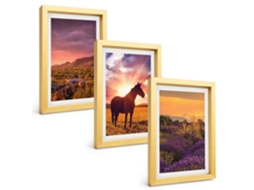 Um Conjunto De Imagens Decorativas Em Uma Moldurapaisagem De Montanha Com Um Cavalo Moldura Dourada Pinturas De Quarto Espelharte (3 Peças 20x30 Cm)