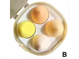 Conjunto De Esponjas De Maquiagem Beauty Egg Para Base E Base Com Caixa De Ovo Perfeita Everley891
