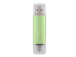 Pen Drive Usb De Uso Duplo De Alta Velocidade, Snake De Duas Cabeças (verde, 8g)