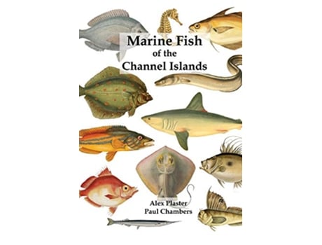 Livro Marine Fish of the Channel Islands de Paul Chambers Alex Plaster (Inglês)