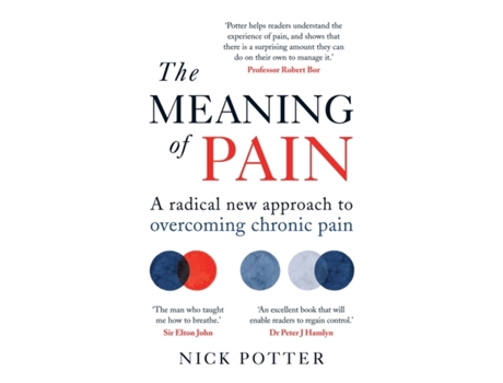 Livro the meaning of pain de nick potter (inglês)