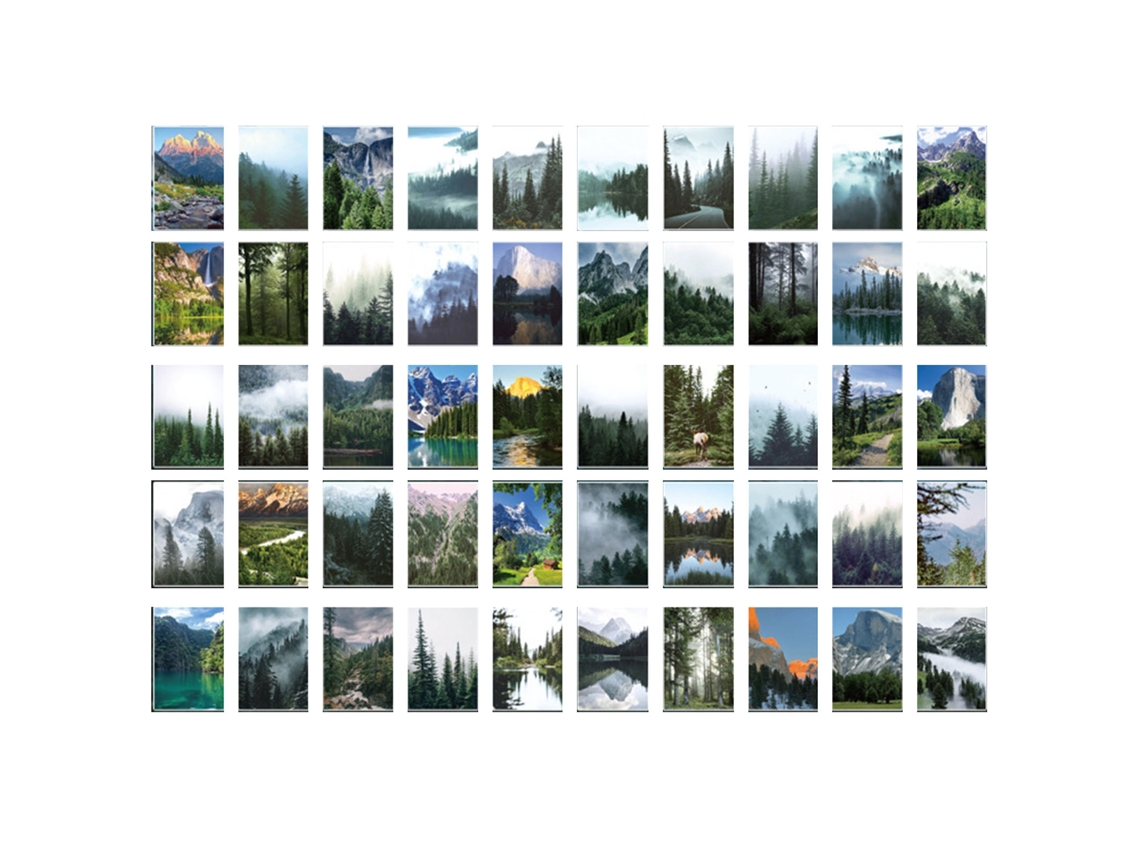 50 Adesivos De Bosque Com Diferentes Designs Desplegáveis Reutilizáveis Para Scrapbooking E Diy
