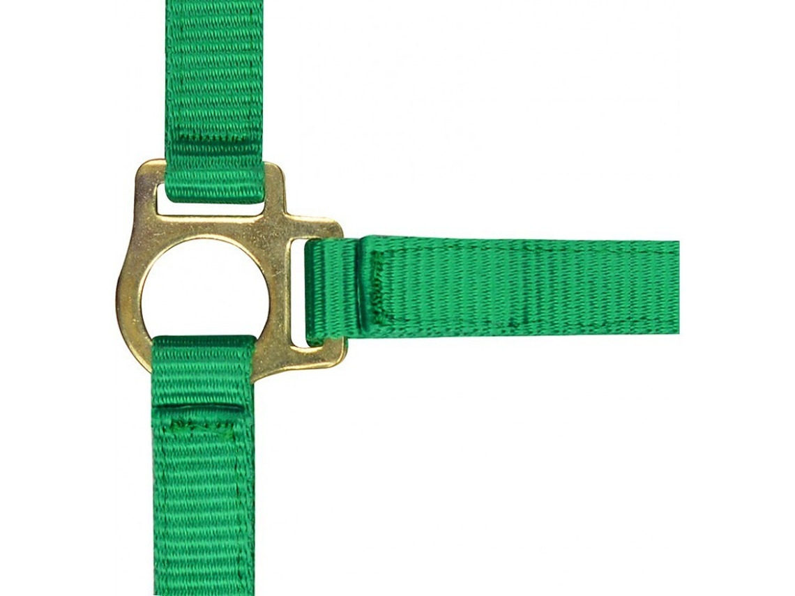 Cabresto para potro e corda de chumbo Norton