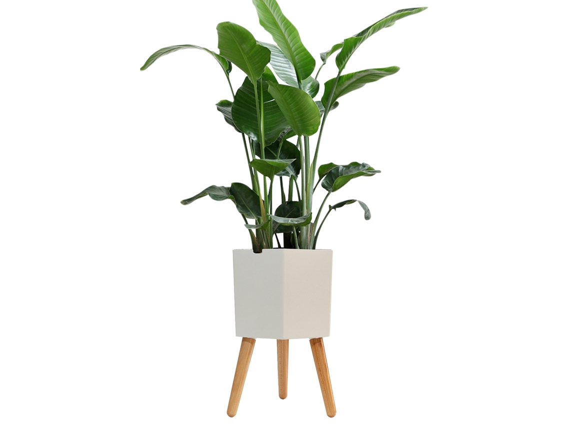 Vaso Inteligente Plantas Alarme Falta de Água