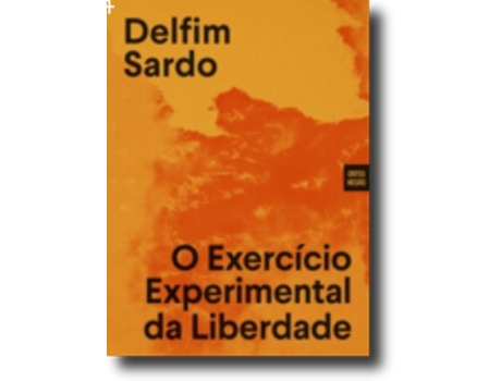 O Exercício Experimental da Liberdade: dispositivos da arte no século XX
