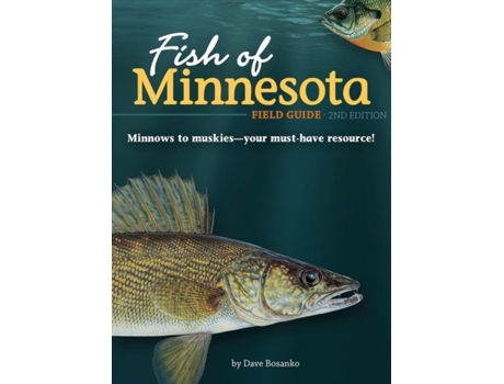 Livro fish of minnesota field guide de dave bosanko (inglês)