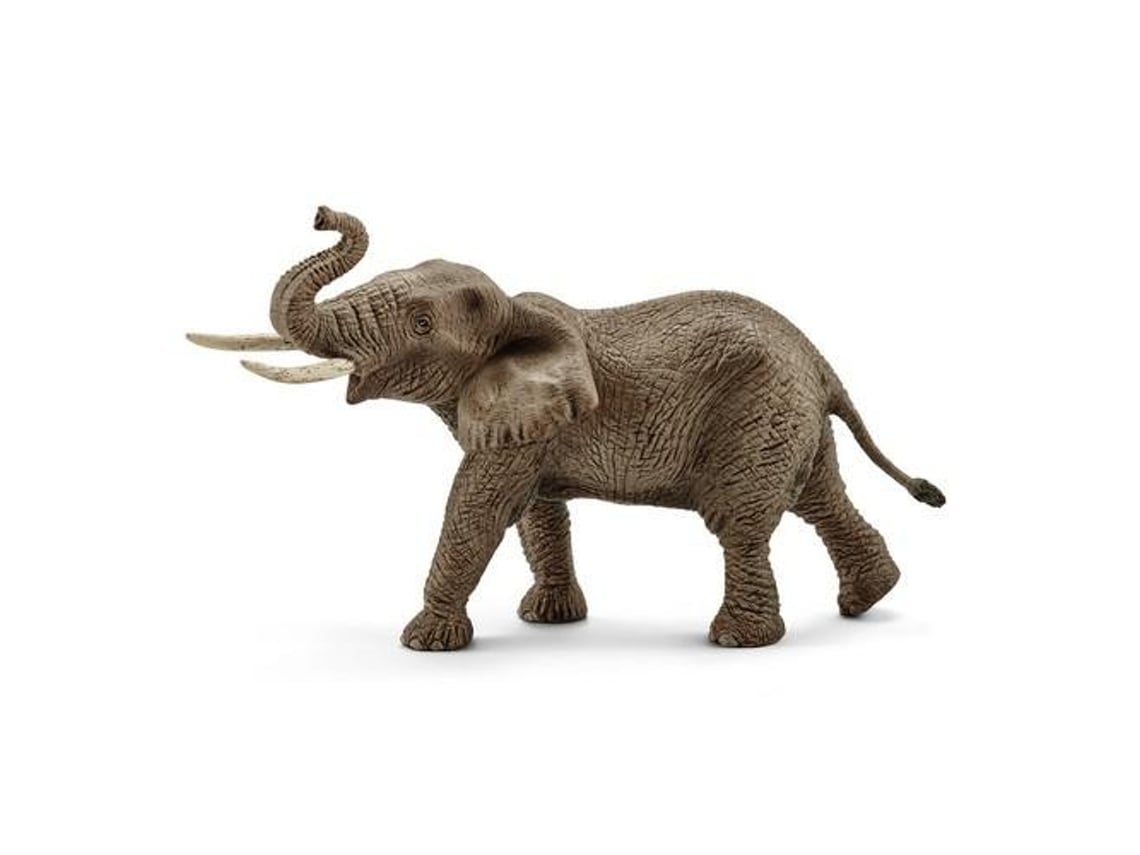 Modelo de Un Elefante Africano Macho* ZYBLSSBB