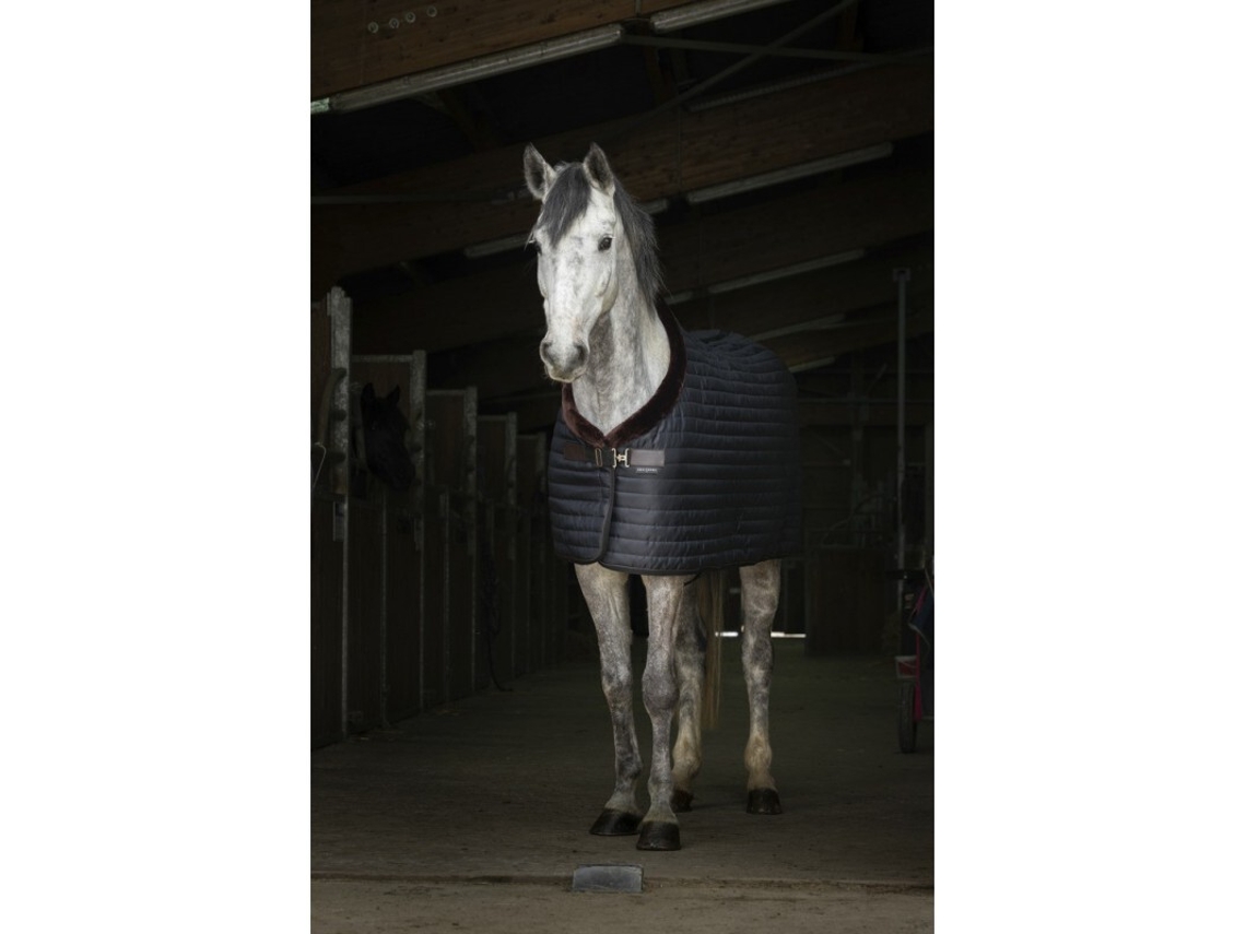 Manta para cavalos Equithème Teddy 0g