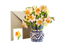 Cartão de Visita em Papel Narcissus LAXISCREED para Enviados Criativos e Decorativos