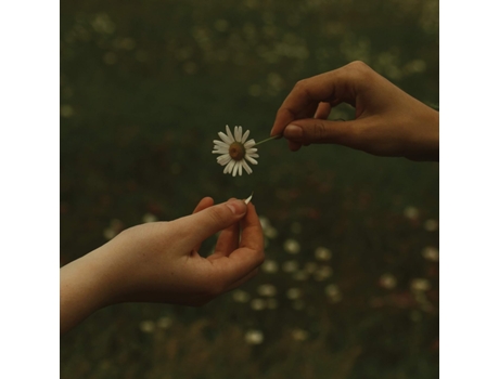 GOLDMUND - The Time It Takes CD 2020