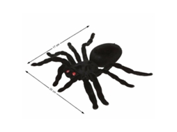 Aranha Preto 20x17 cm