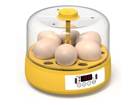 Incubadora De Ovos Zsanfs