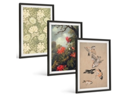 Conjunto De Pinturas Flores, Pássaros, Natureza, Natureza Espelharte (3 Peças 40x60 Cm)