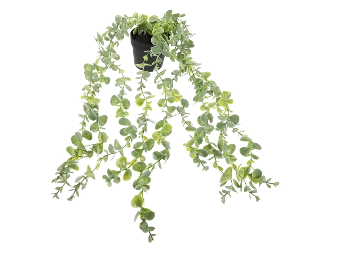 Bonsai Suspenso Para Interiores E Exteriores Gokoco
