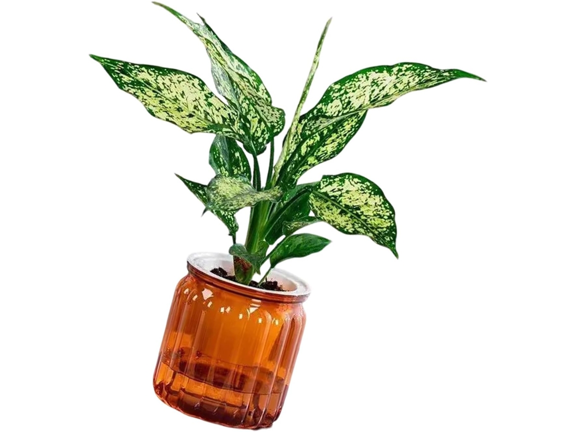 Regador De Plantas Com Controle Eficiente Para Facilitar O Cuidado Com As Plantas, Sala De Estar.
