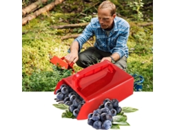 Apanhador de frutos silvestres com pente