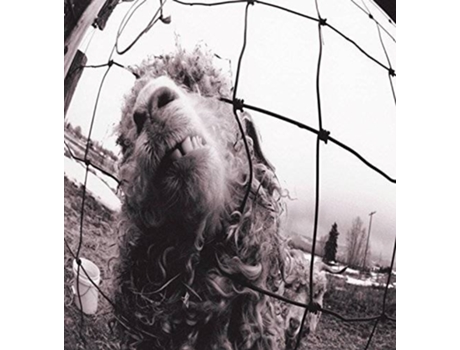 CD Pearl Jam - Vs. (Expanded Edition)