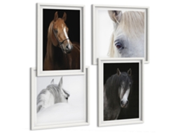 Quadros Decorativos Para Parede Retratos De Cavalos Em Tons De Pelo Moldura Branca Quadros Para O Escritório Espelharte (conjunto De 4 Imagens)