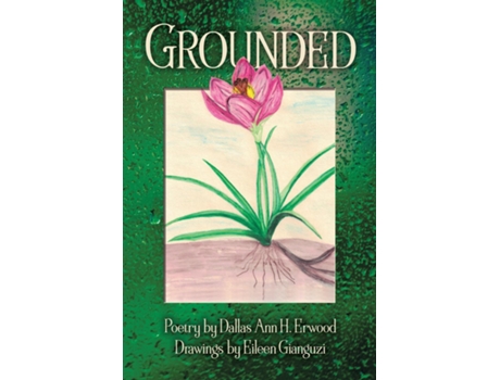 Livro Grounded de Dallas Ann H Erwood (Inglês)