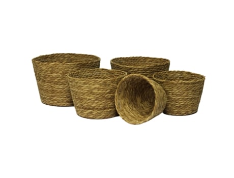 Conjunto de 5 Cestos de Junco MY HOME