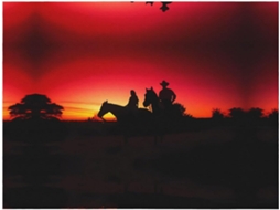 Colcha de Flanela Macia e Quente com Estampa Cowboy do Texas 101 6 X 76 2 Cm, Macio, Quente, Ideal para Quarto
