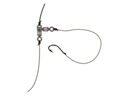 Asari Crane L