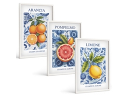 Conjunto De Pinturas Frutas Cítricas Vintage Ilustrações Espelharte (3 Peças 40x60 Cm)