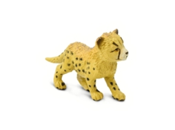 SAFARI Cheetah Cub