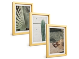 Composição De Quadros Acessórios Para Plantas Tropicais Espelharte (3 Peças 20x30 Cm)