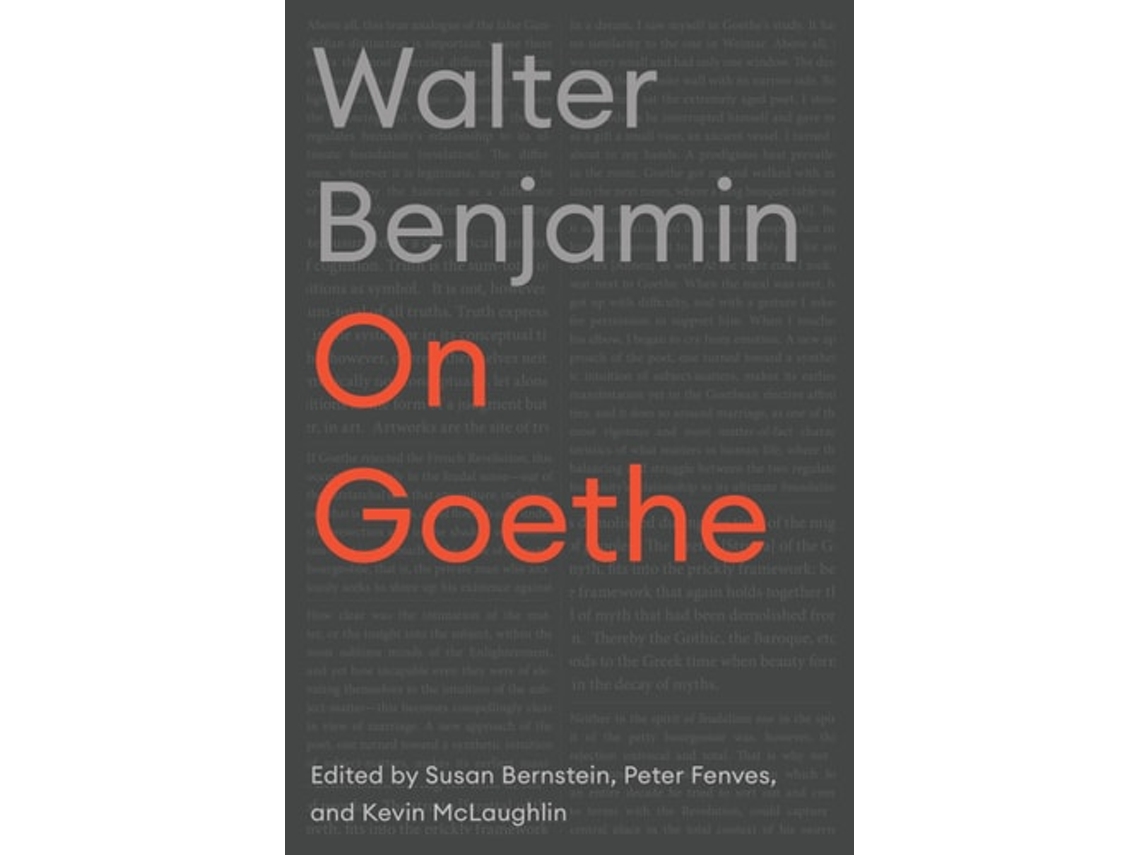 Livro On Goethe De Walter Benjamin (inglês)