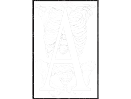 Livro Globalboho AOLAB Agenda de Angel Brynner (Inglês)