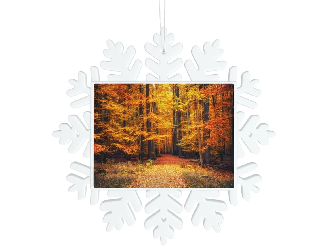 Tela com fundo de flocos de neve - Decoração transparente - Fácil de pendurar - 14 x 14 cm