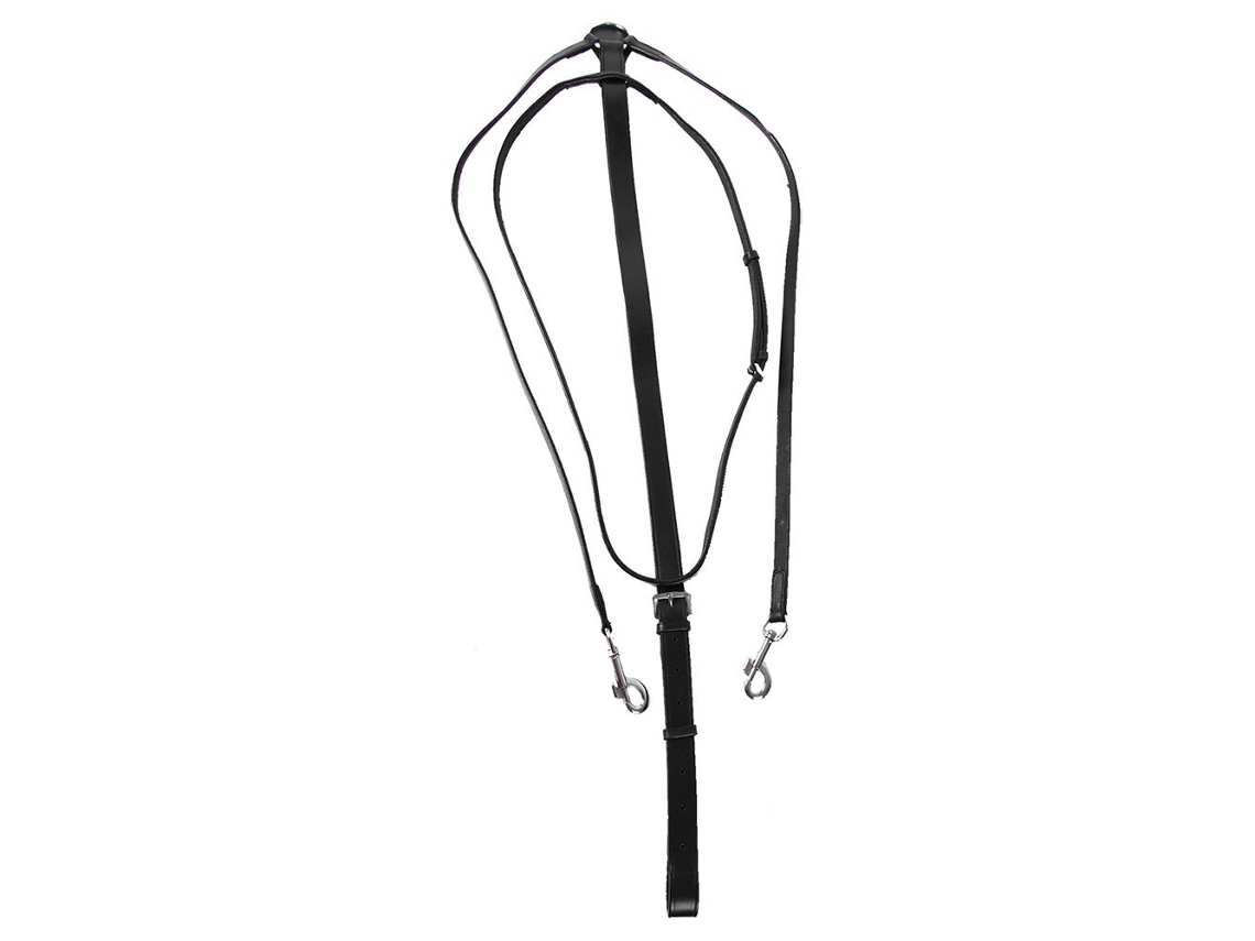 Martingale Thiedemann Prateado Ponystar