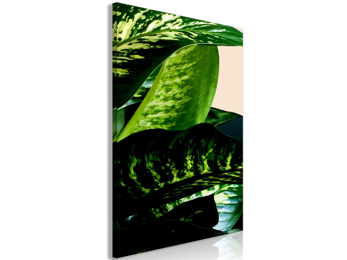 Quadro ARTGEIST Dieffenbachia (1 Part) Vertical (20x30)