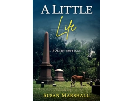 Livro A Little Life de Susan Marshall (Inglês)