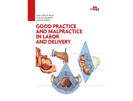 Livro Good Practice And Malpractice In Laor And Delivery de VVAA (Español)