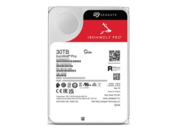 Ironwolf Pro 30tb Seagate