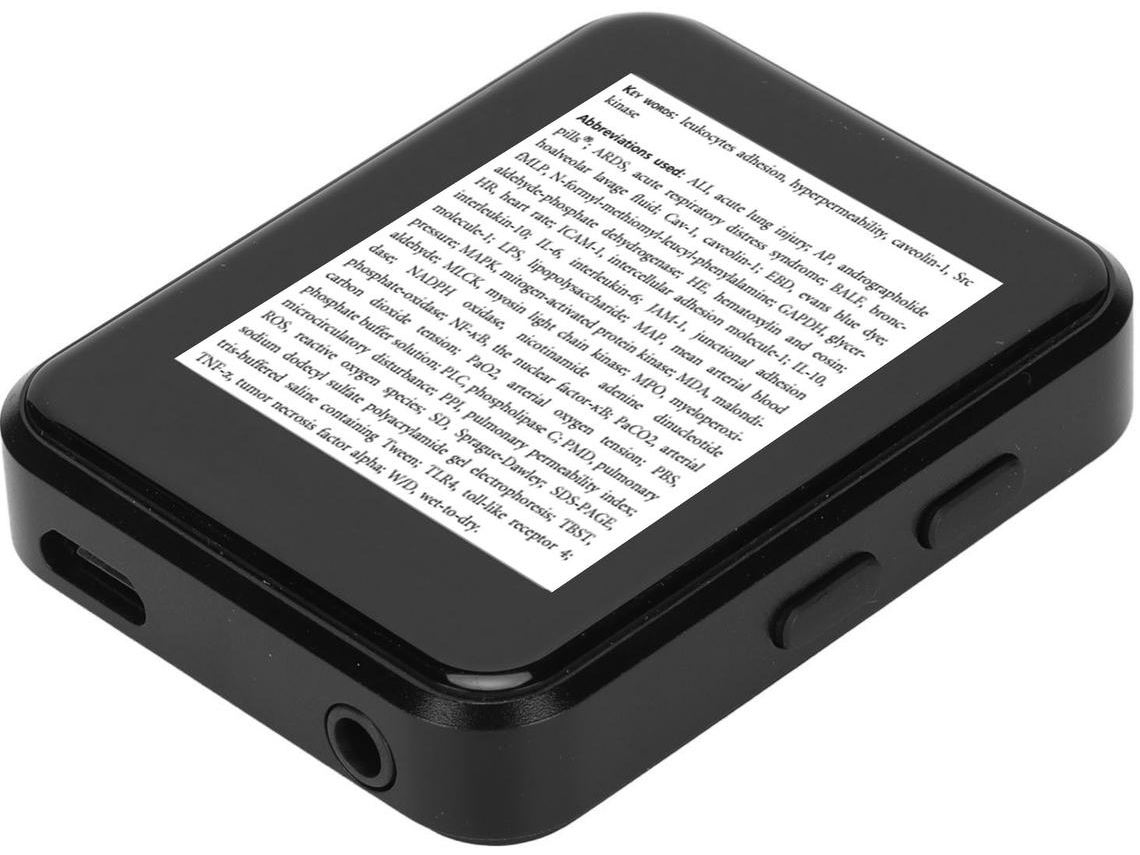 Leitor Mp3/Mp4 Bluetooth YIZHOOD X1 1.8Inch E-Books 16G Tf Card Preto